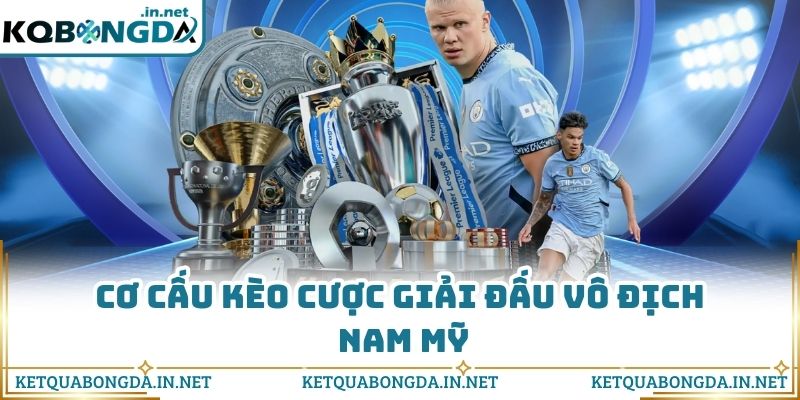 Cơ cấu kèo cược giải đấu vô địch Nam Mỹ